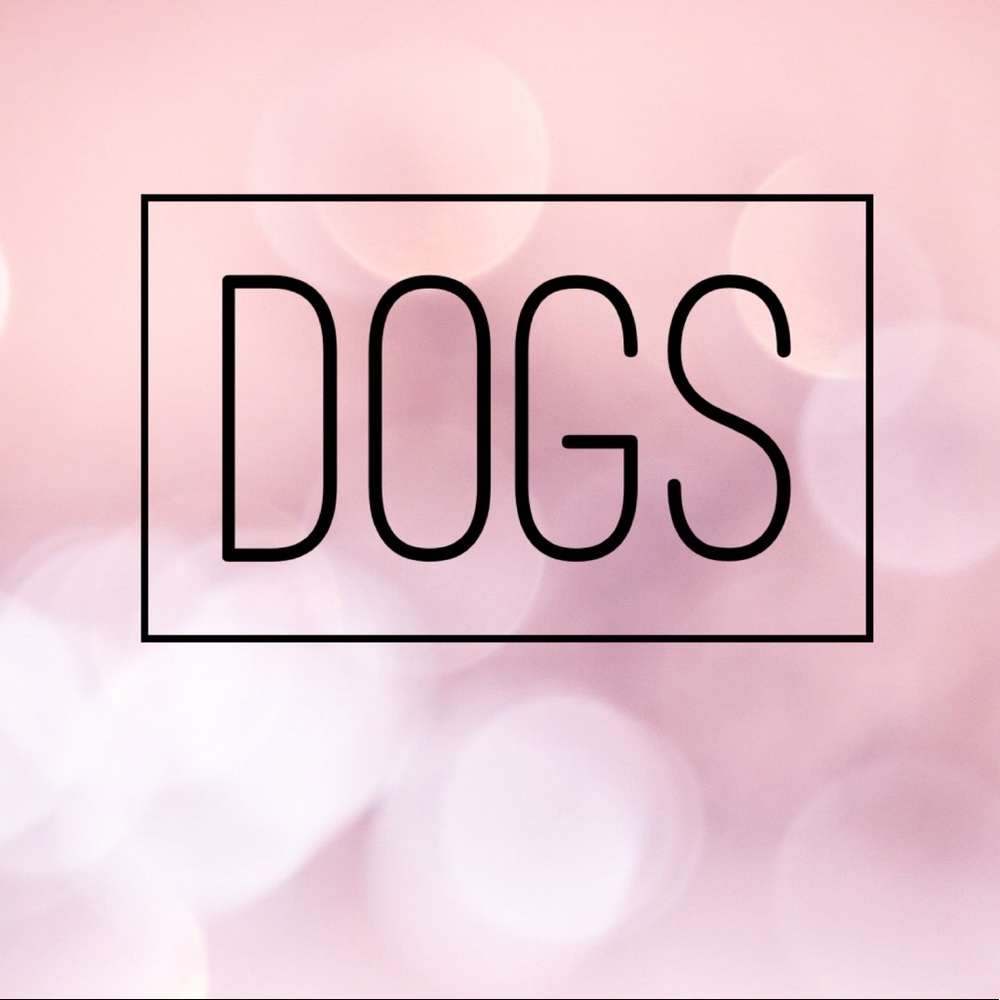 🐶 Dogs 🐶